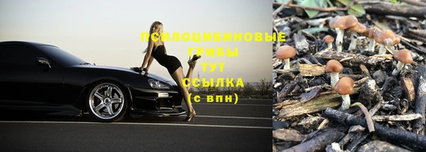 COCAINE Пролетарск