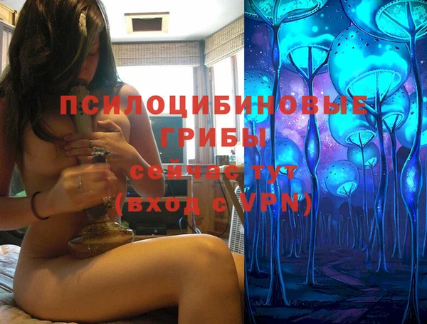 стаф Протвино