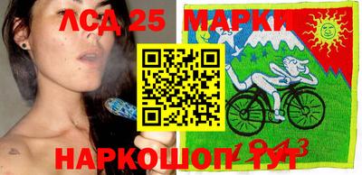 крисы Абакан