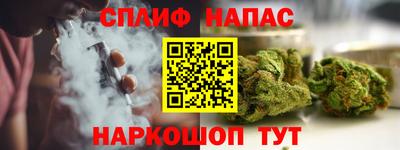 крисы Абакан