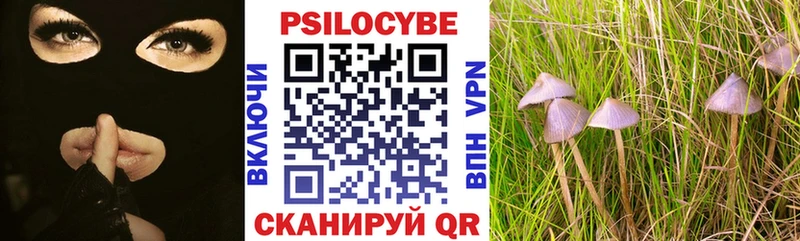 Галлюциногенные грибы ЛСД Алексеевка