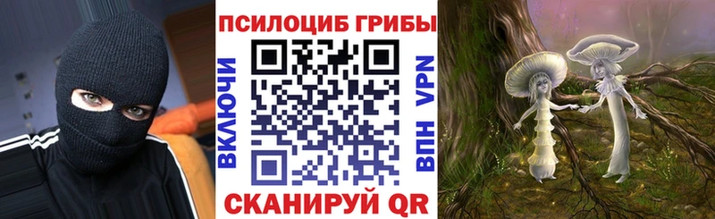 hydra зеркало  Алексеевка  даркнет как зайти  Галлюциногенные грибы Magic Shrooms 