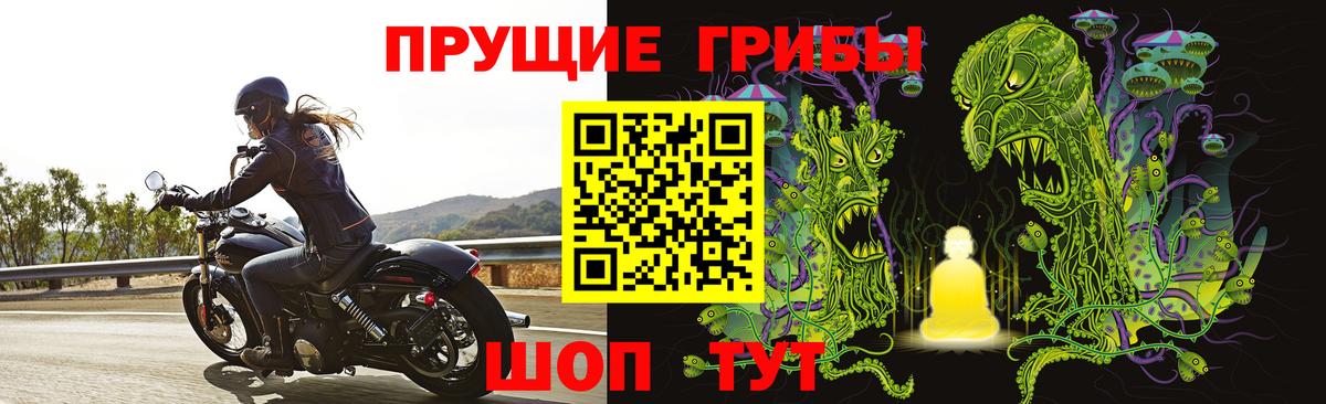 Галлюциногенные грибы GOLDEN TEACHER Алексеевка