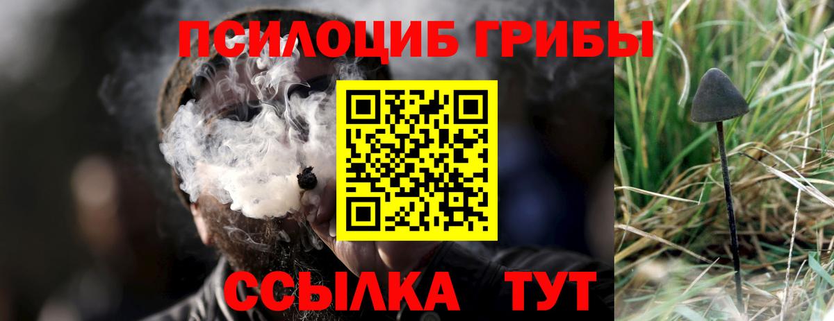 Псилоцибиновые грибы прущие грибы Алексеевка